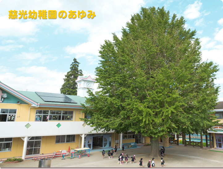 慈光幼稚園とは