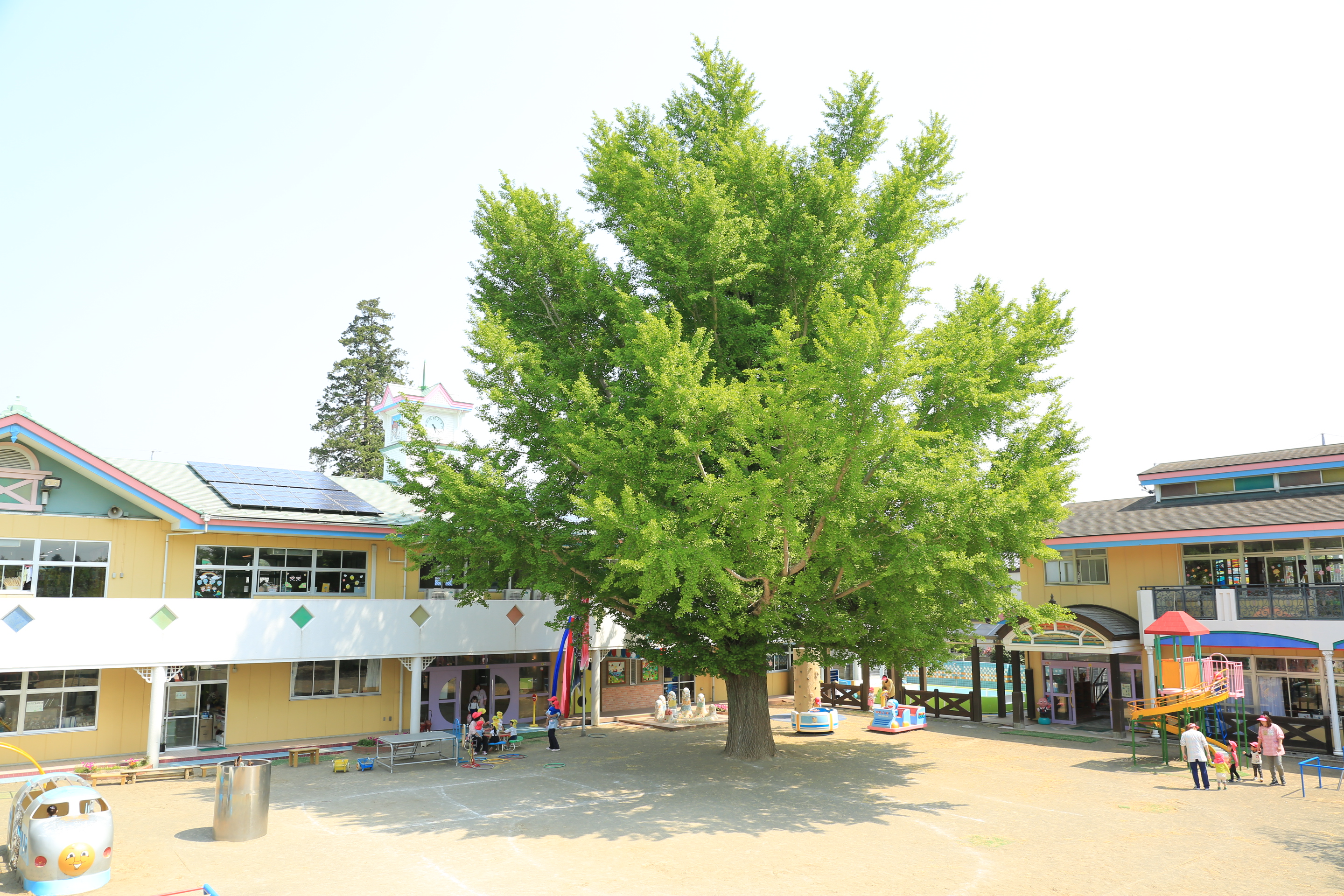 幼稚園 じこうようちえん